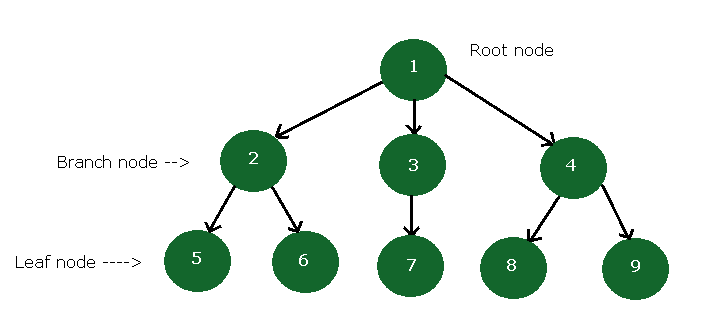 A Directed Tree - Tree Basics