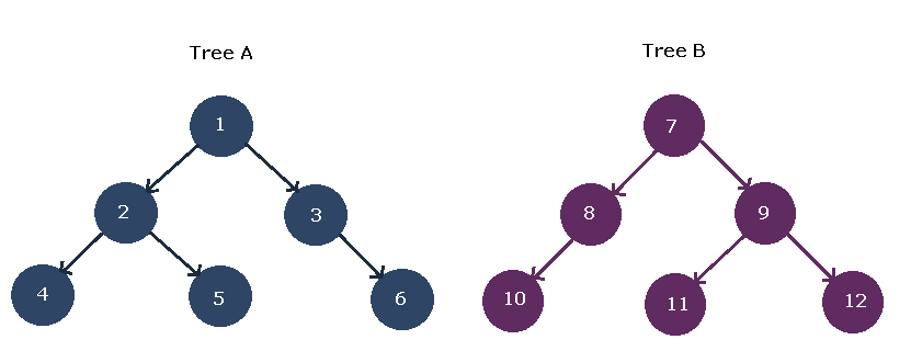 Forest with Two Trees - binary tree concepts