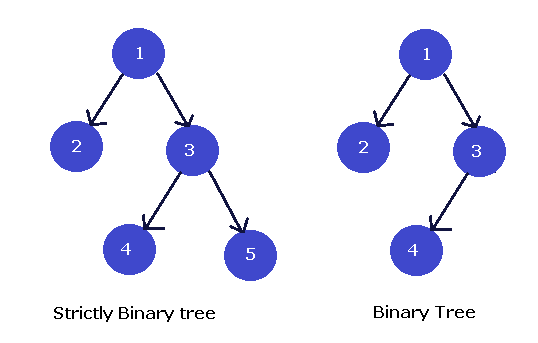 Strictly Binary Tree - Binary Tree Concepts