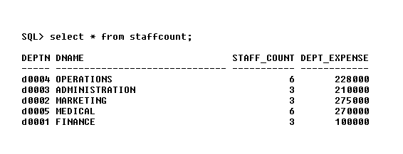Staff Count - Project Database