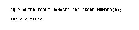 Figure 5: Alter Table MANAGER for new column