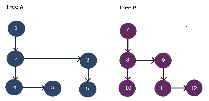 Forest with Two Ordered Trees - binary tree concepts