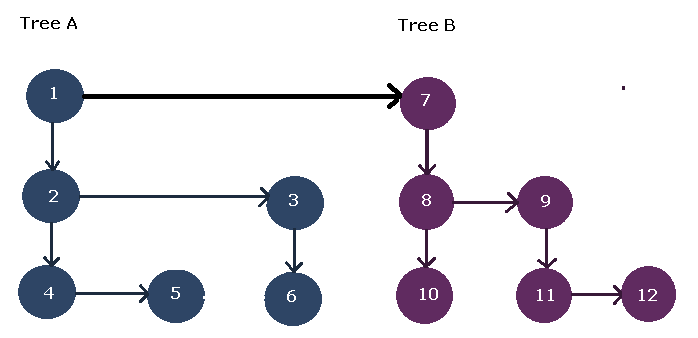 Forest with Two Ordered Trees Joined - Binary tree concepts