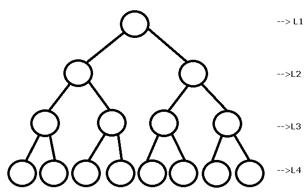 Height Of The Tree - Binary Tree Concepts