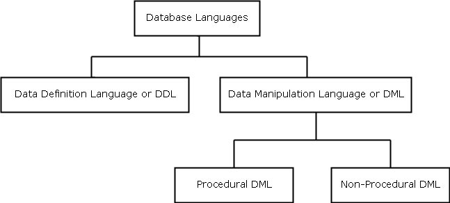 DBMS Basics - Diagram Database Languages