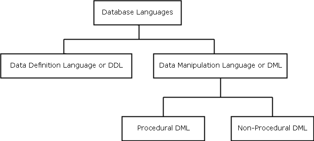 dbms basic concepts