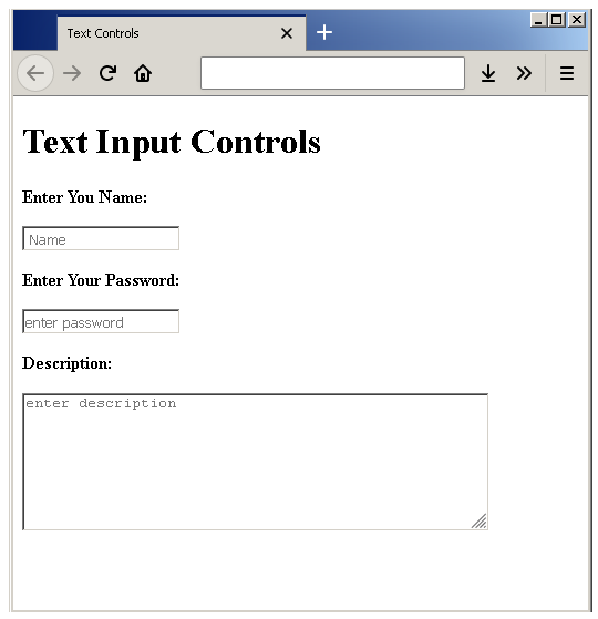 Output - Text Input Control
