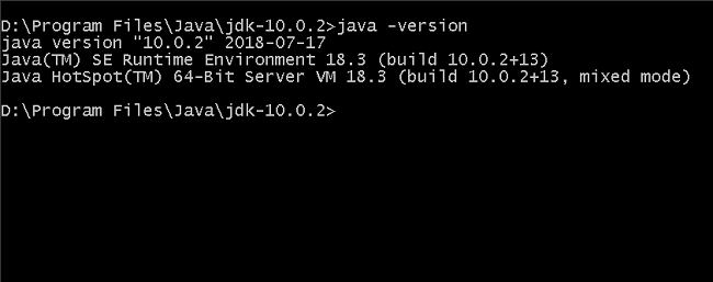 Java Version Command