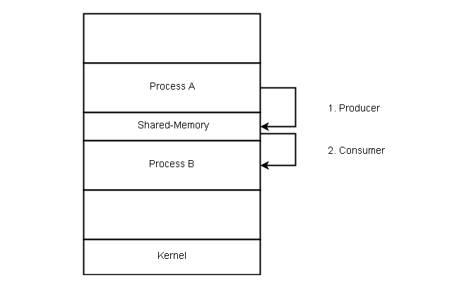 Shared Memory System