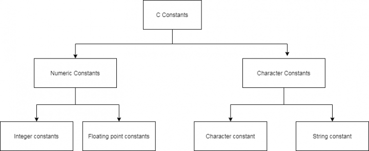 c-programming-tutorial-variables-and-constants