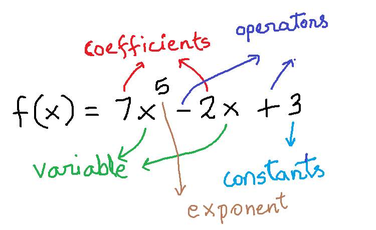 Figure 1 - Components of a Polynomial