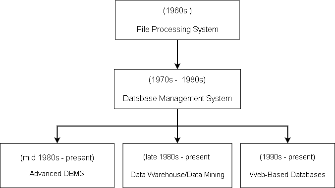 Figure 1 - Data Mining Evolution