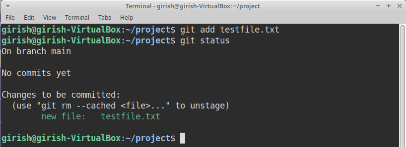 Figure 15: After adding the testfile to staging area